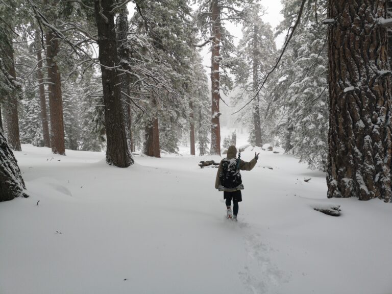 Tag 13-14: Winterreise