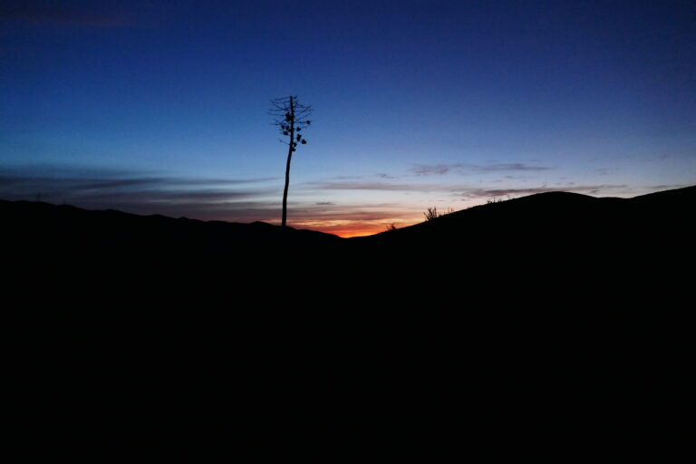 Tag 33: Casa de Luna