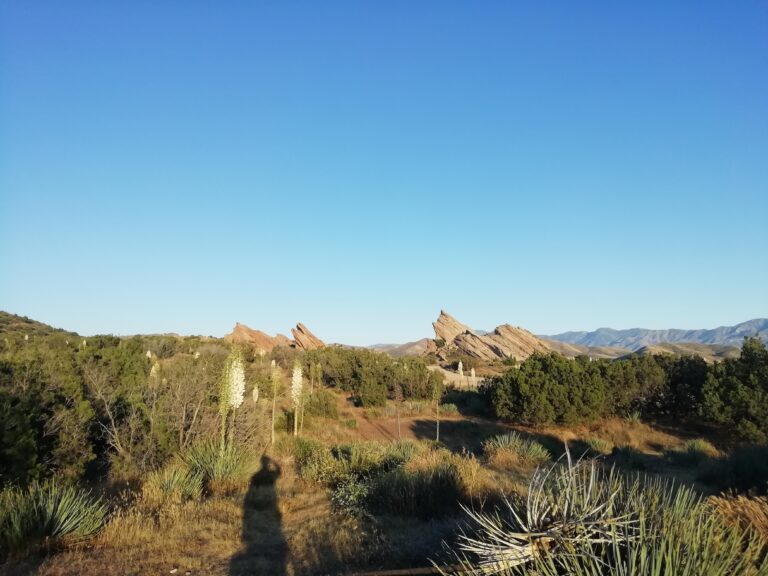 Tag 30: Von Moron bis Star Trek