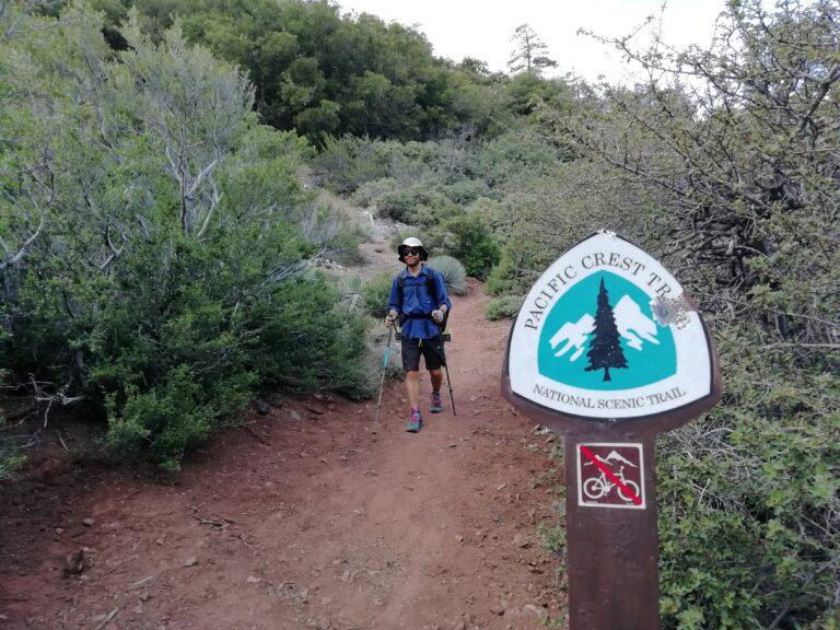 Tag 26: Mit Apfelkuchen auf dem Trail