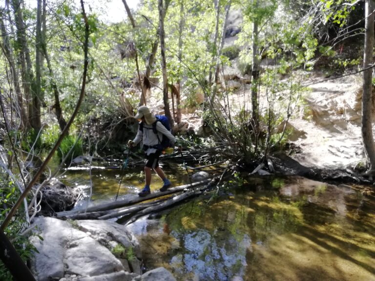 Tag 21: Manches geht den Bach Runter