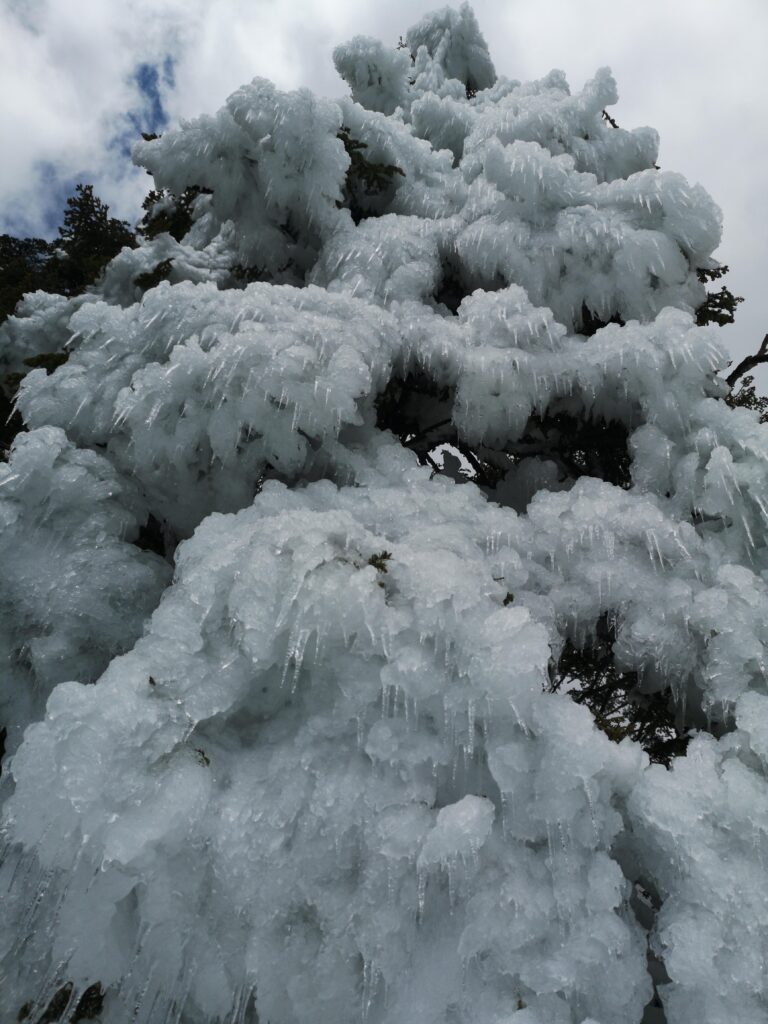 Tag 16: wolkenloser Regen