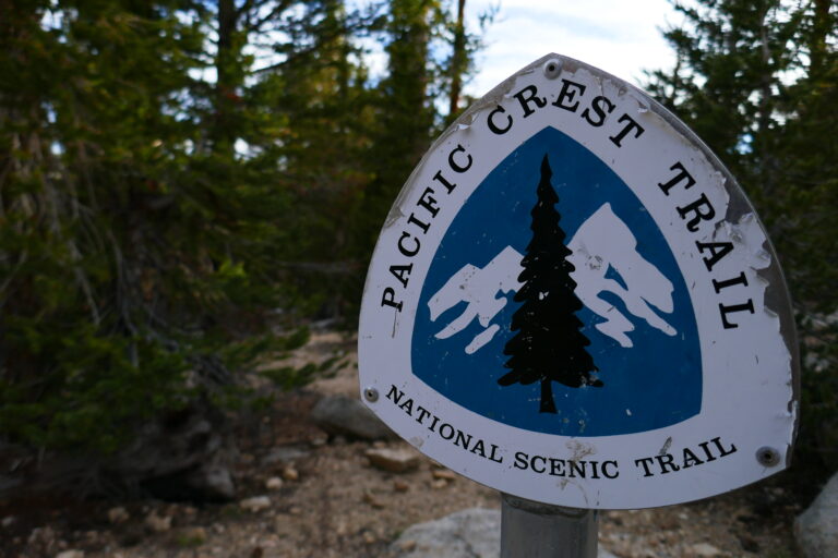 Tag 52:  Lone Pine Tag 2