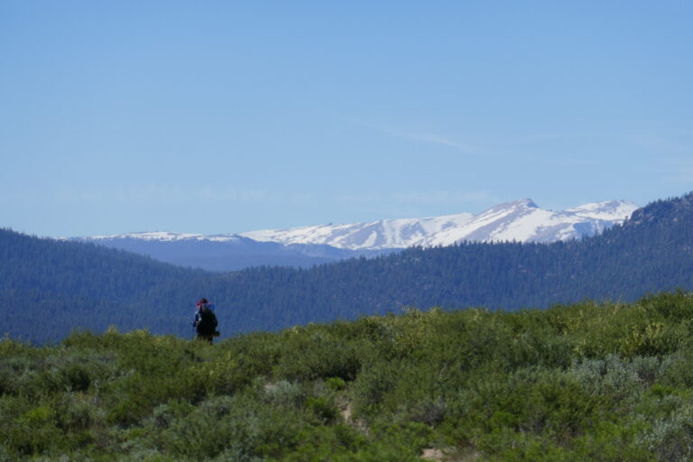 Tag 49: Neue Gefilde