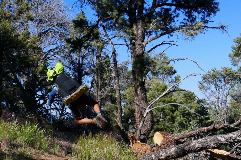 Tag 45: Richtung Berge