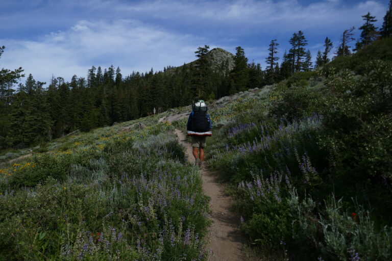 Tag 78: Blicke und Blumen