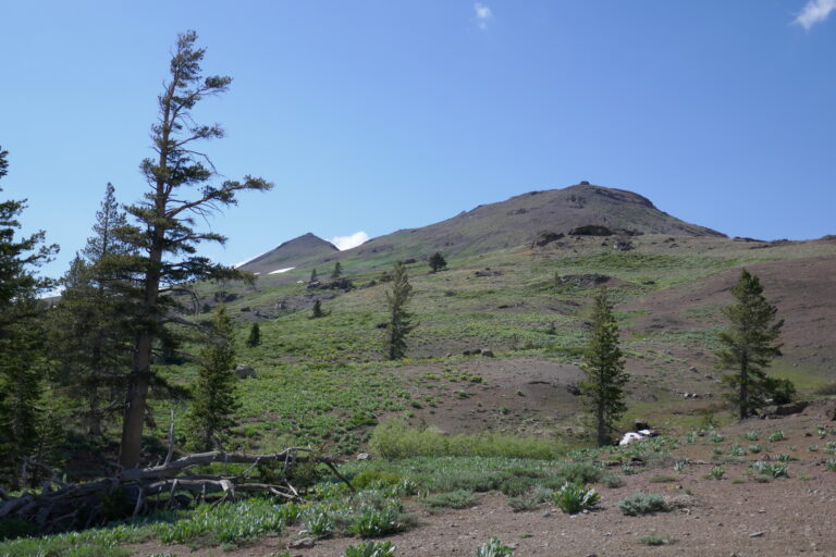 Tag 73: Größter Nippel der USA