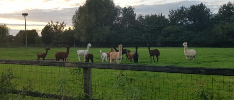 RHEIN- UND NORDSEERADWEG