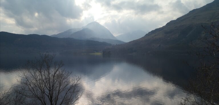 „What’s Poppin“