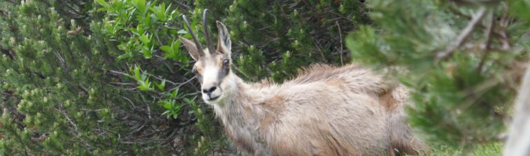 Um den Königssee Tag 2